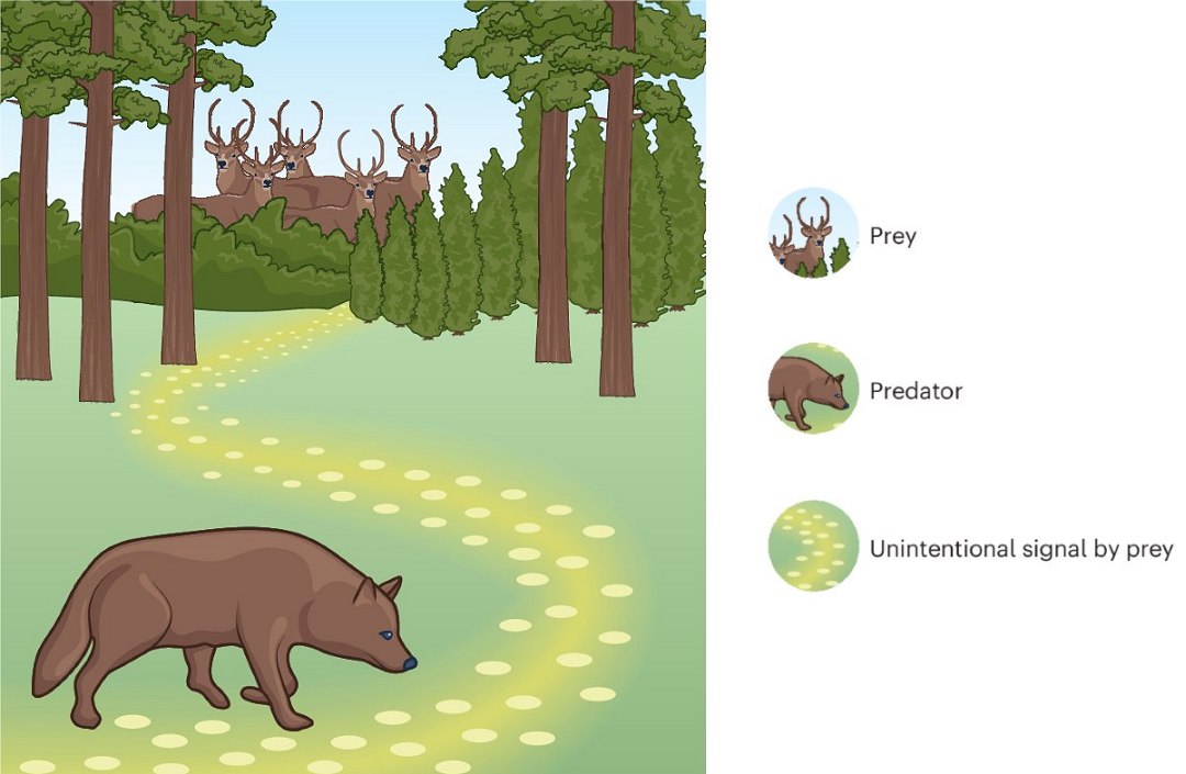 Internet da Natureza: Troca de informaes  disseminada no mundo biolgico