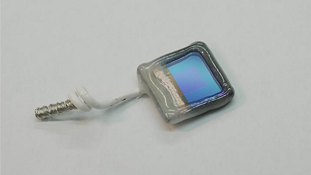 Folha semi-artificial transforma poluição e luz solar em químicos úteis