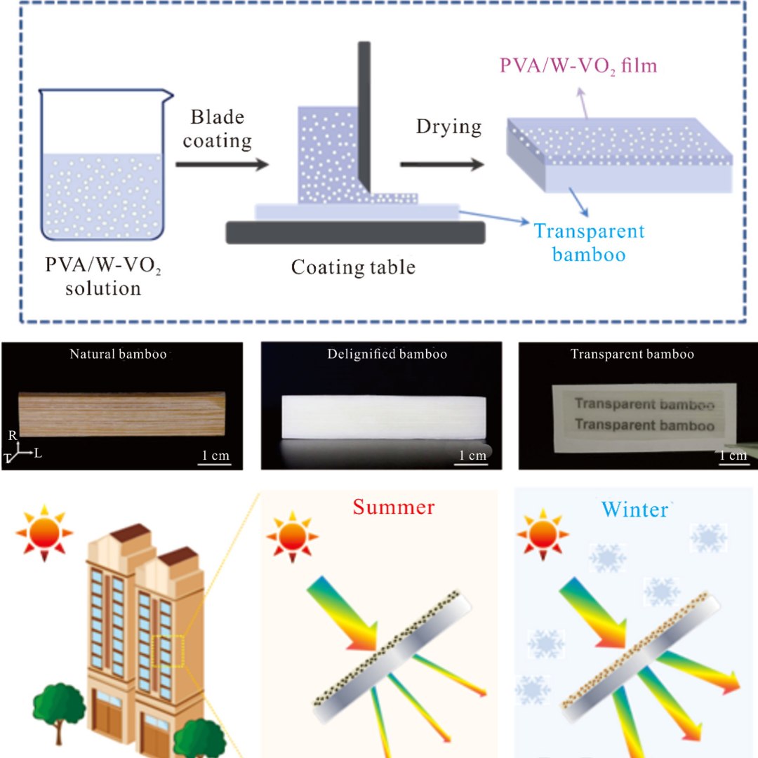 Vidro de bambu criar janela termoisolante para frio e quente