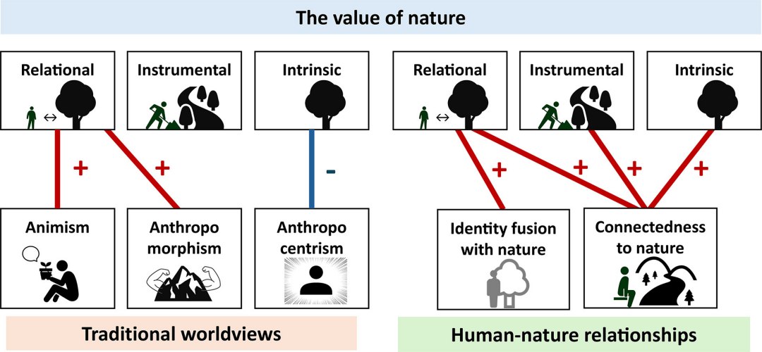 Como sua vis�o de mundo e seus valores afetam a Terra