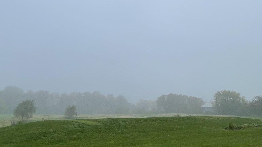 Neblina � um ambiente repleto de vida. E vida ben�fica
