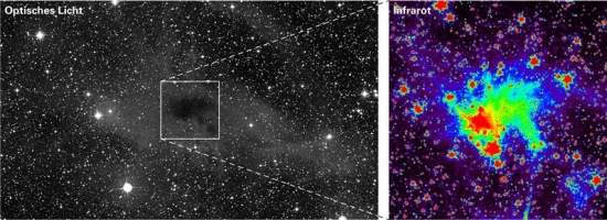 Coreshine: novo fenômeno astronômico ilumina nascimento das estrelas