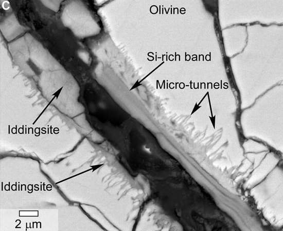 NASA anuncia descoberta de sinais de vida em meteorito de Marte