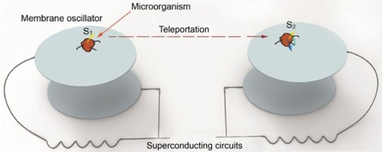 Primeiro experimento para teletransportar memria de organismo vivo