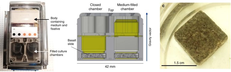 Minerao espacial com bactrias produz elementos de terras raras