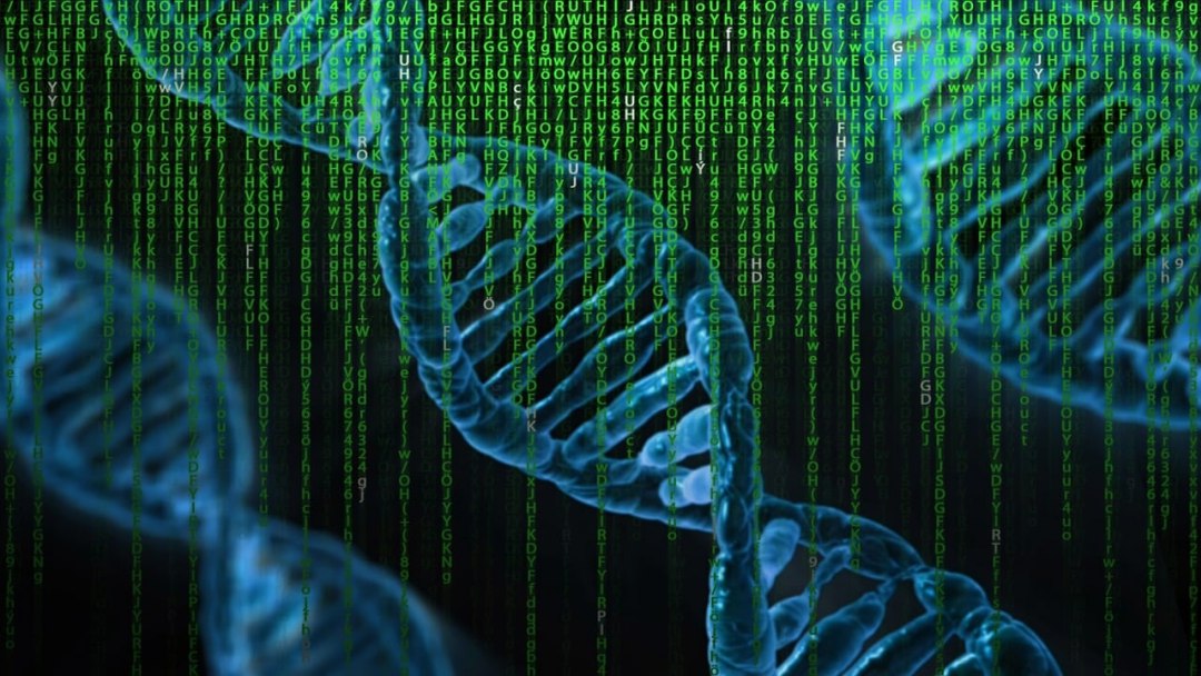 Gravidade pode ser evidncia de que o Universo  um imenso computador