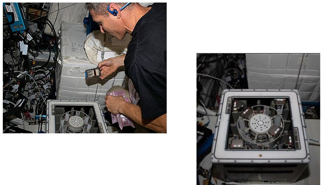 Mineração espacial será feita por bactérias e fungos