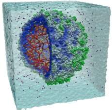 Cientistas simulam organismo vivo em computador