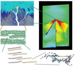 Software de anlise gentica  utilizado para ensinar resistncia dos materiais