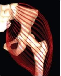 Cirurgia virtual: simulador permitir que mdico opere primeiro um voc-virtual