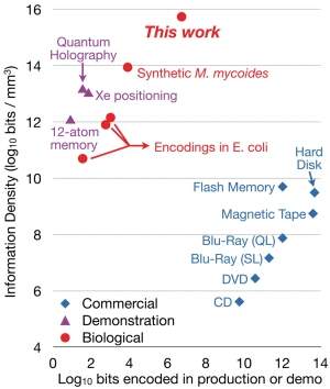 HD definitivo: Dados so gravados em molculas de DNA