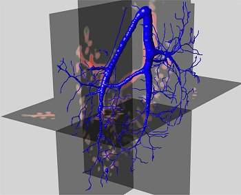 Dedo Virtual permite navegar em microambientes 3D