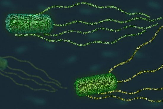 Linguagem de alto nvel faz programas em bactrias