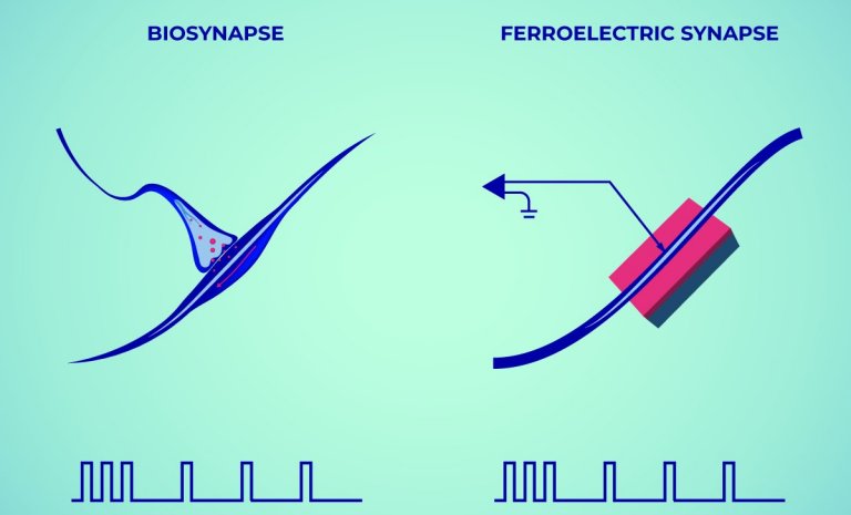 Componente neuromrfico imita memria e esquecimento do crebro