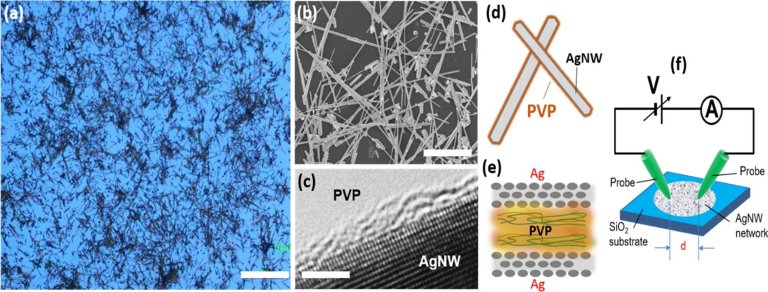 Funes cerebrais emergem em uma rede de nanofios