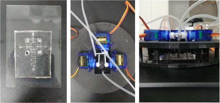 Processador de DNA finalmente em um chip program