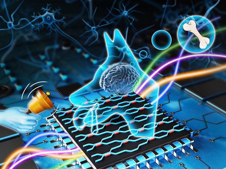 Sistema de IA usa luz para aprender associativamente, como os ces de Pavlov