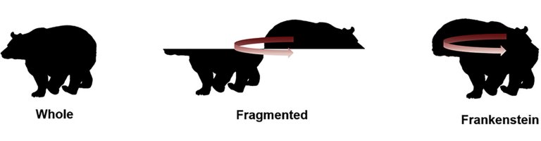 Inteligncia Artificial no enxerga como os humanos - e isso no  bom