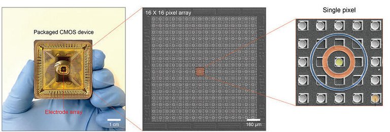 Computao inica faz inteligncia artificial na gua