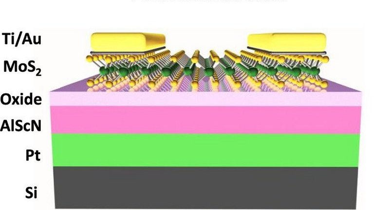 Processador sem transstor  ideal para inteligncia artificial