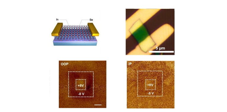 Duas funes neurais bsicas so embutidas em um nico chip