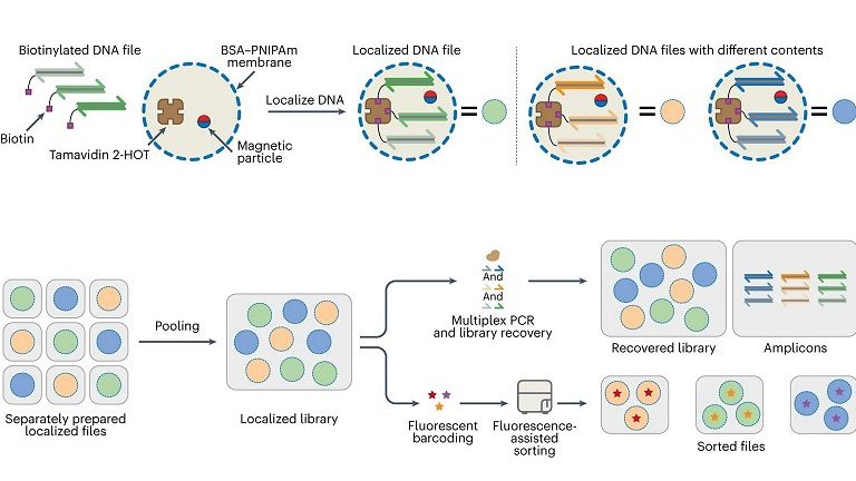 Armazenamento de dados em DNA mais prximo das centrais de dados