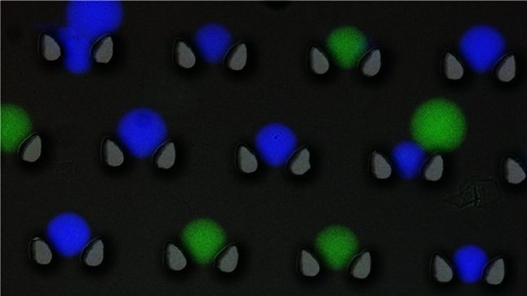 Armazenamento de dados em DNA mais prximo das centrais de dados