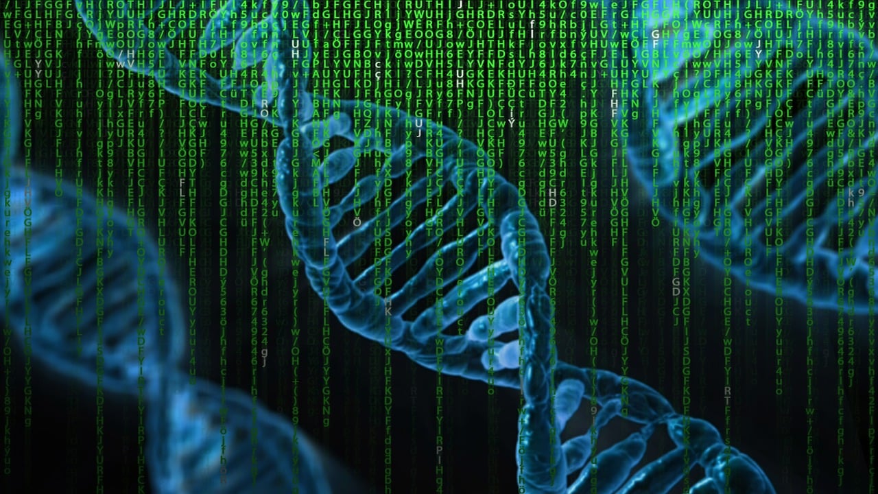 Nova lei da fsica apoia a ideia de que vivemos em uma simulao de computador