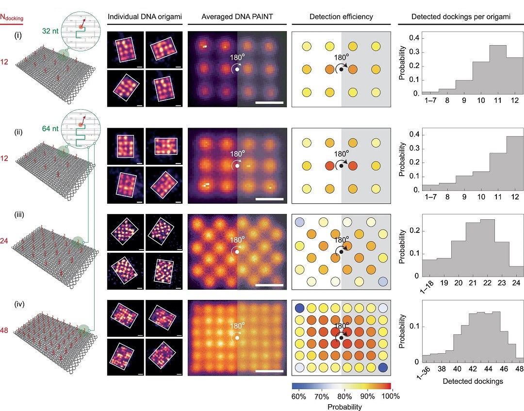 Armazenar dados em DNA é mais fácil do que se pensava