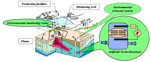 Biosensores para Monitoramento Ambiental