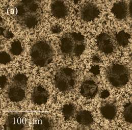 Deposição eletroquímica gera novos eletrodos nanoporosos