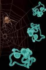 Cientistas sintetizam fibras com que as aranhas tecem suas teias