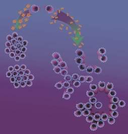 Nova membrana biolgica  formada por nanotubos vivos