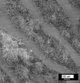 Dedo sujo no equipamento leva a descoberta de nanofibras