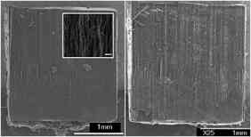 Resistncia  fadiga de nanotubos  semelhante  das paredes do estmago