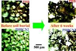 Plstico biodegradvel com nanopartculas de argila