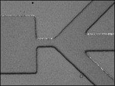 Biochip produz seda de aranha sinttica