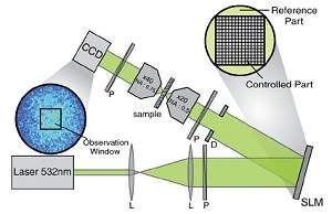 Fsicos descobrem como enxergar atravs de materiais opacos