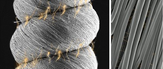 Nanofibras mais fortes que coletes  prova de balas