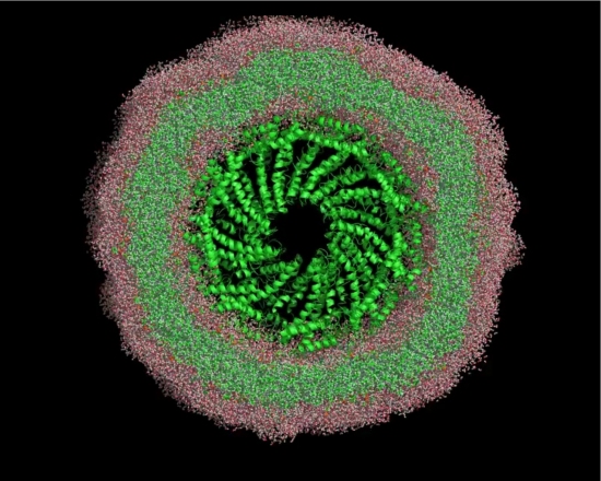 Vírus quase indestrutível revela segredo para novos materiais