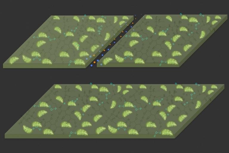 Material respira CO2 do ar e cresce como planta