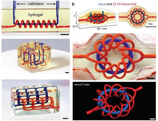 Impressão 3D de órgãos vivos viável com corante alimentar