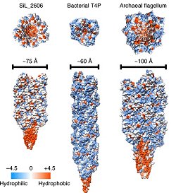 Acar pode tornar materiais praticamente indestrutveis