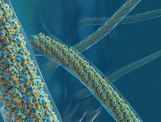 AÃ§Ãºcar pode tornar materiais praticamente indestrutÃ­veis