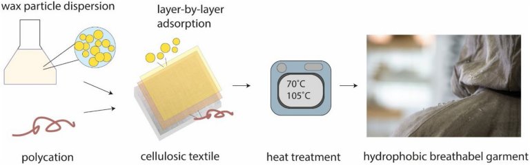 Cera de carnaba impermeabiliza tecido sem perder respirabilidade