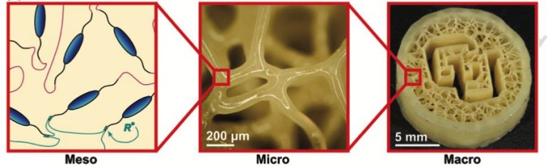 Biomaterial imprimível em 3D imita cartilagem natural