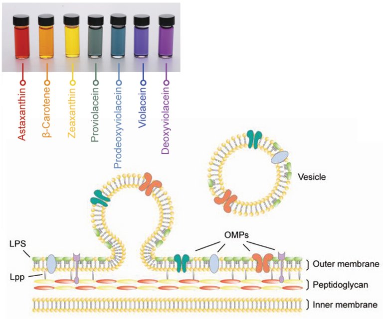 Bactérias produzem corantes em todas as cores do arco-íris