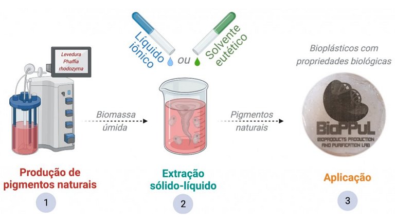 Solvente verde e pigmento natural produzem bioplstico sustentvel