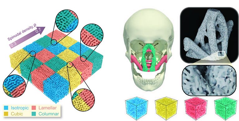 Natureza inspira material forte e leve para avies e implantes sseos