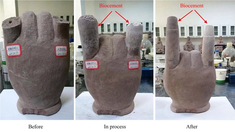 Biocimento renovvel feito inteiramente de materiais residuais